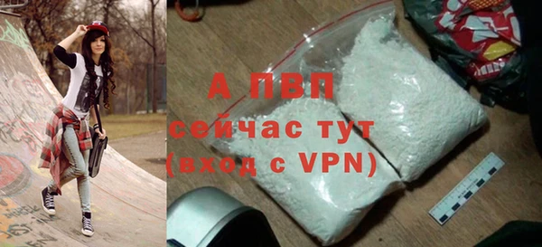 альфа пвп Заводоуковск